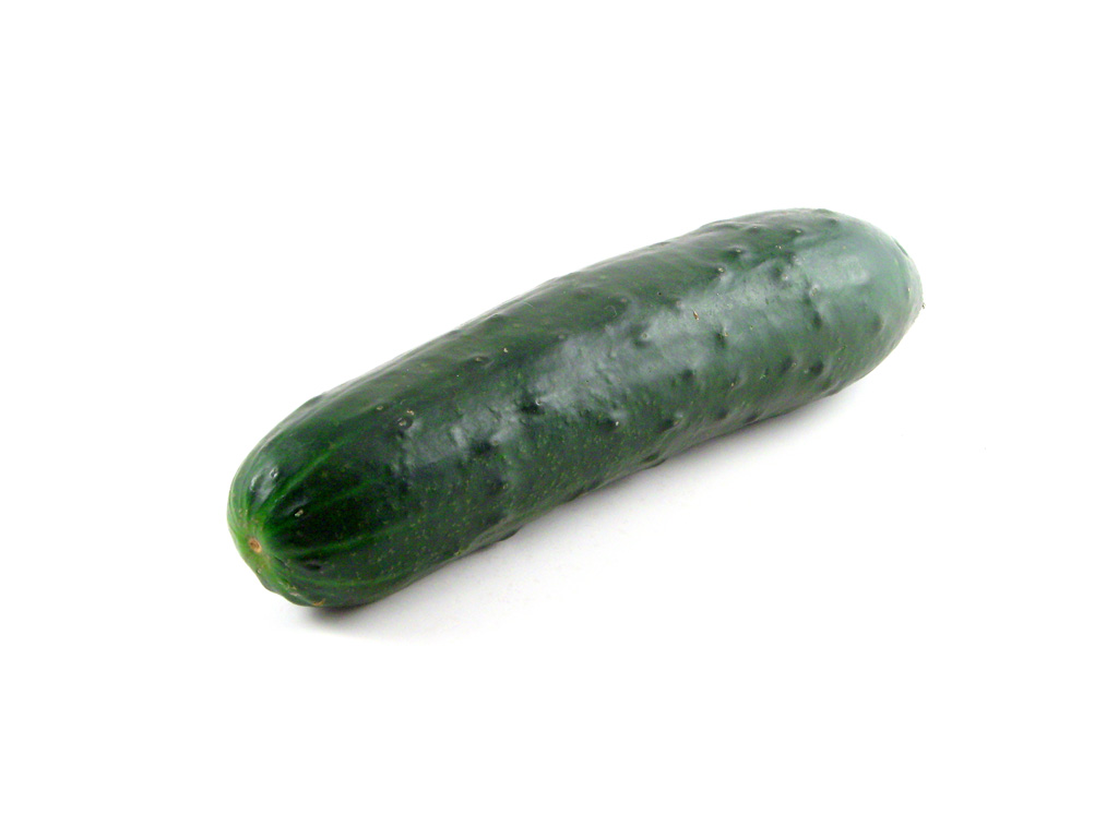 Midget sweet pickle gherkin